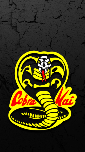 Cobra Kai Backgound 
