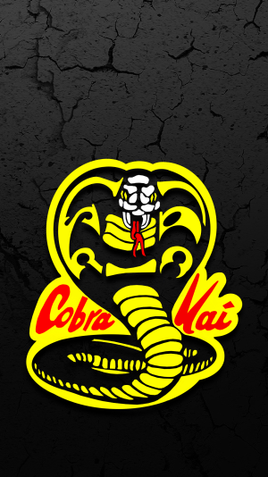 Cobra Kai Backgound