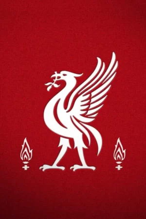 Liverpool F.C. Background