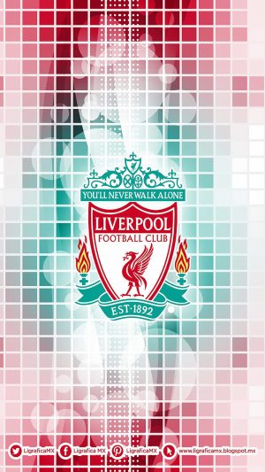 Liverpool F.C. Background
