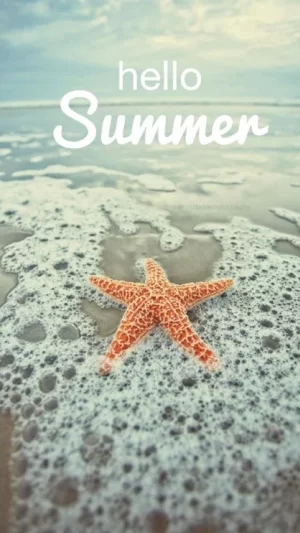 HD Summer Wallpaper 