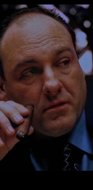 Tony Soprano Background