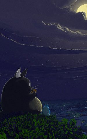 Totoro Wallpaper 