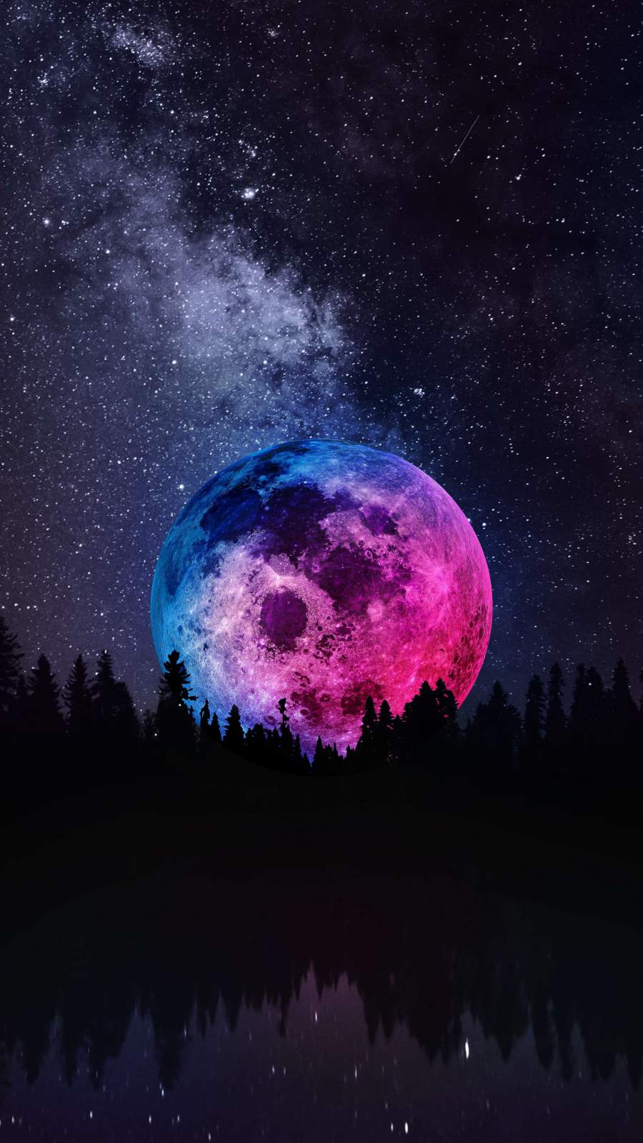 Full Moon Forest 4K Wallpapers | HD Wallpapers | ID #30670