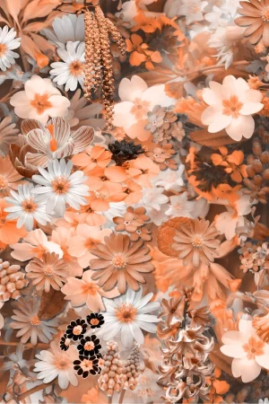 Flower Wallpaper 