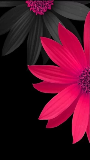 Flower Background 