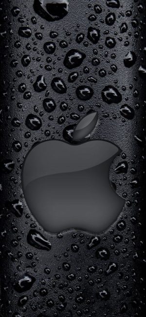 4K Apple Wallpaper 