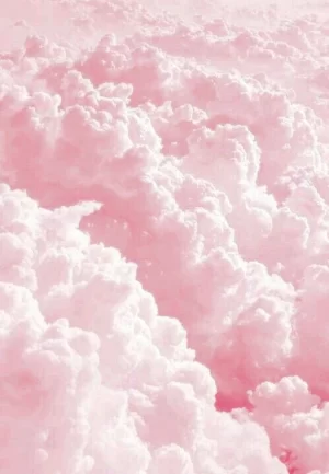 Pink Wallpaper 