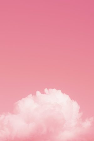 Pink Wallpaper