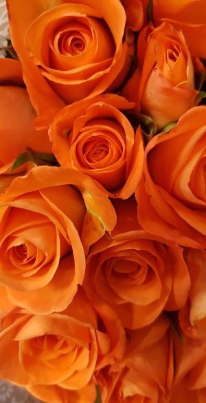 Orange Aesthetic Wallpaper