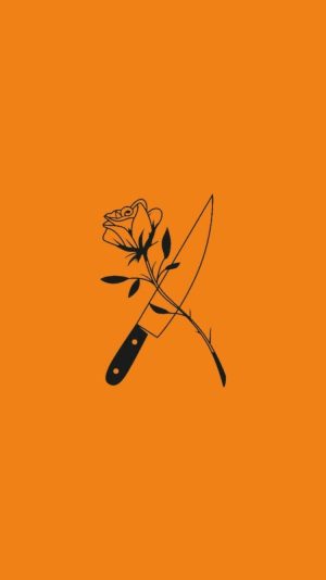 Orange Aesthetic Wallpaper