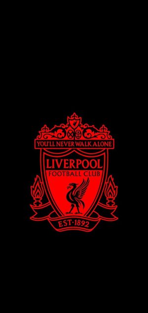 Liverpool F.C. Background