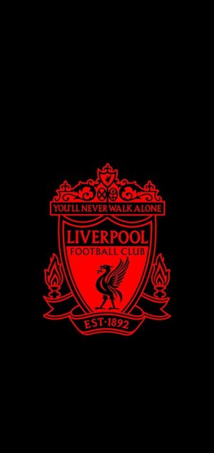 Liverpool F.C. Background