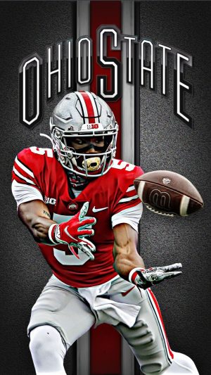 Ohio State Buckeyes Football Background 