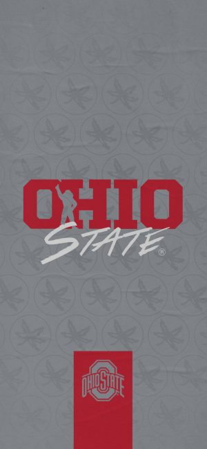 Ohio State Buckeyes Football Wallpaper 