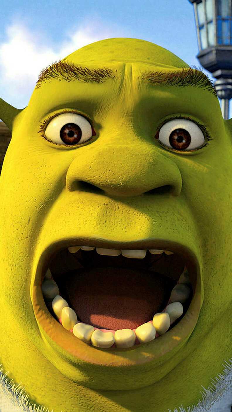 Shrek meme HD wallpaper