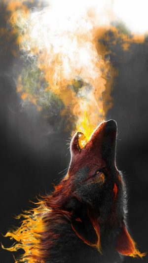 Wolf Wallpaper 