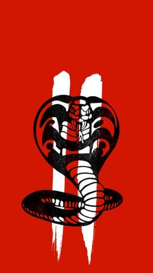 Cobra Kai Background 