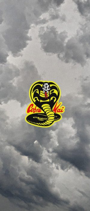 Cobra Kai Wallpaper 
