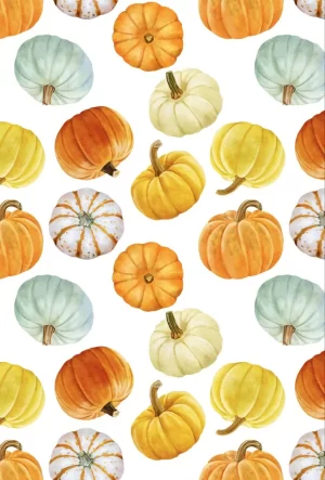 HD Cute Pumpkin Wallpaper