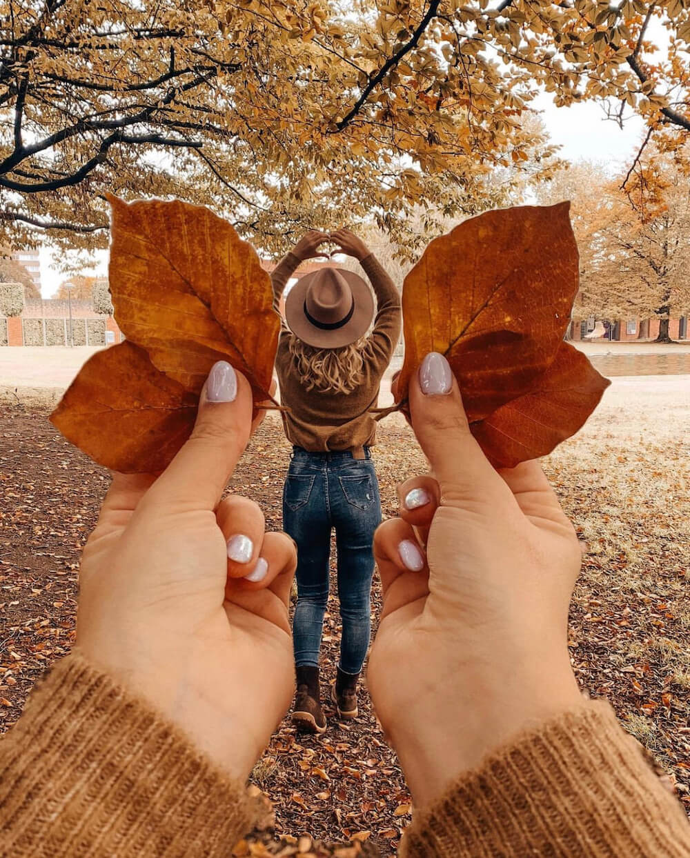 Fall Pictures Wallpaper WhatsPaper