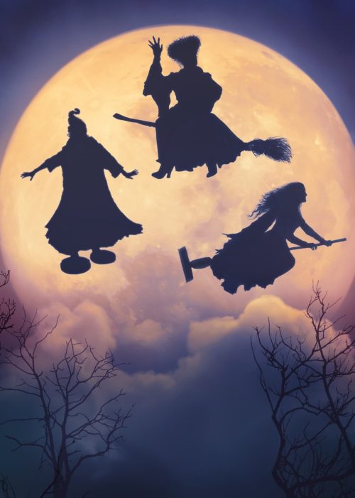 4K Hocus Pocus Wallpaper | WhatsPaper