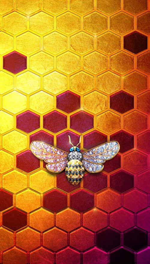 HD Honey Wallpaper | WhatsPaper