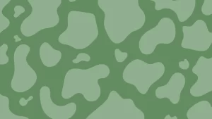 Desktop Sage Green Aesthetic Wallpaper 