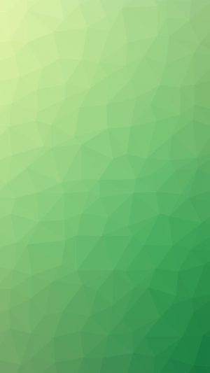 Sage Green Aesthetic Wallpaper