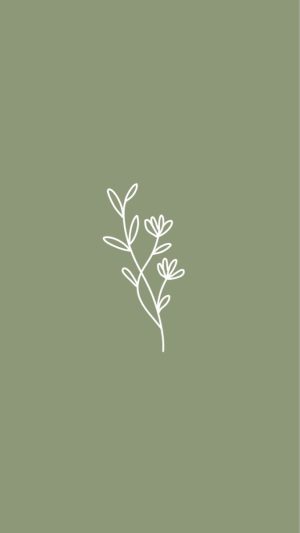 Sage Green Aesthetic Wallpaper 