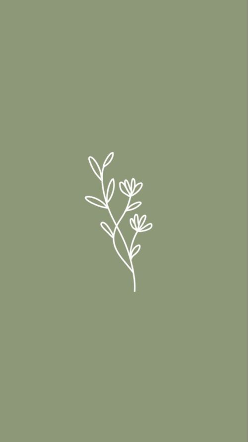 4K Sage Green Aesthetic Wallpaper WhatsPaper