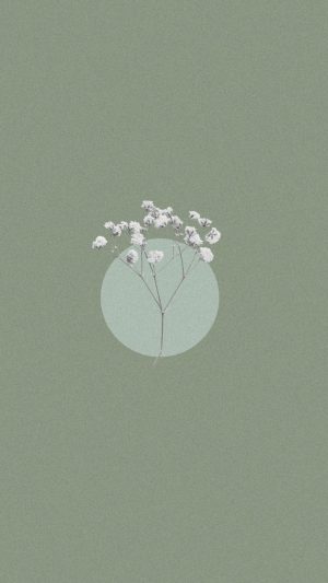 Sage Green Aesthetic Wallpaper