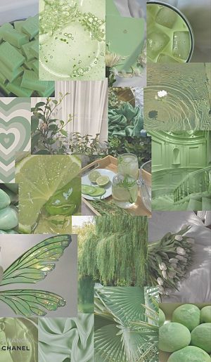 Sage Green Aesthetic Wallpaper 