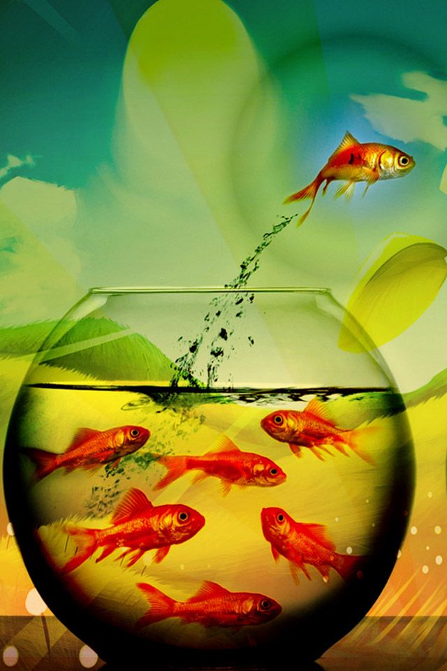 Update more than 67 live moving fish wallpaper latest - xkldase.edu.vn