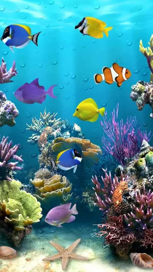 Fish Wallpaper 