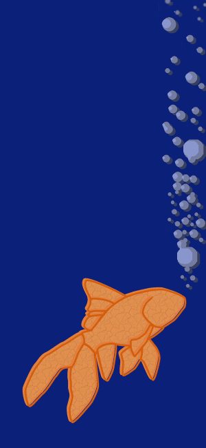 Fish Wallpaper Fish Wallpaper