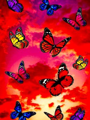 Butterflies Wallpaper