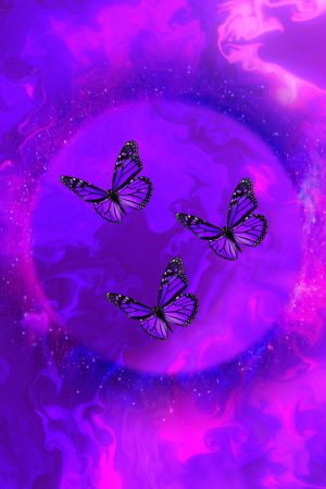 Butterflies Wallpaper | WhatsPaper