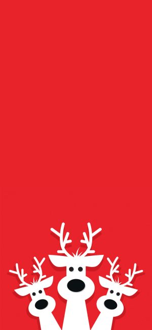 Christmas Day Wallpaper 
