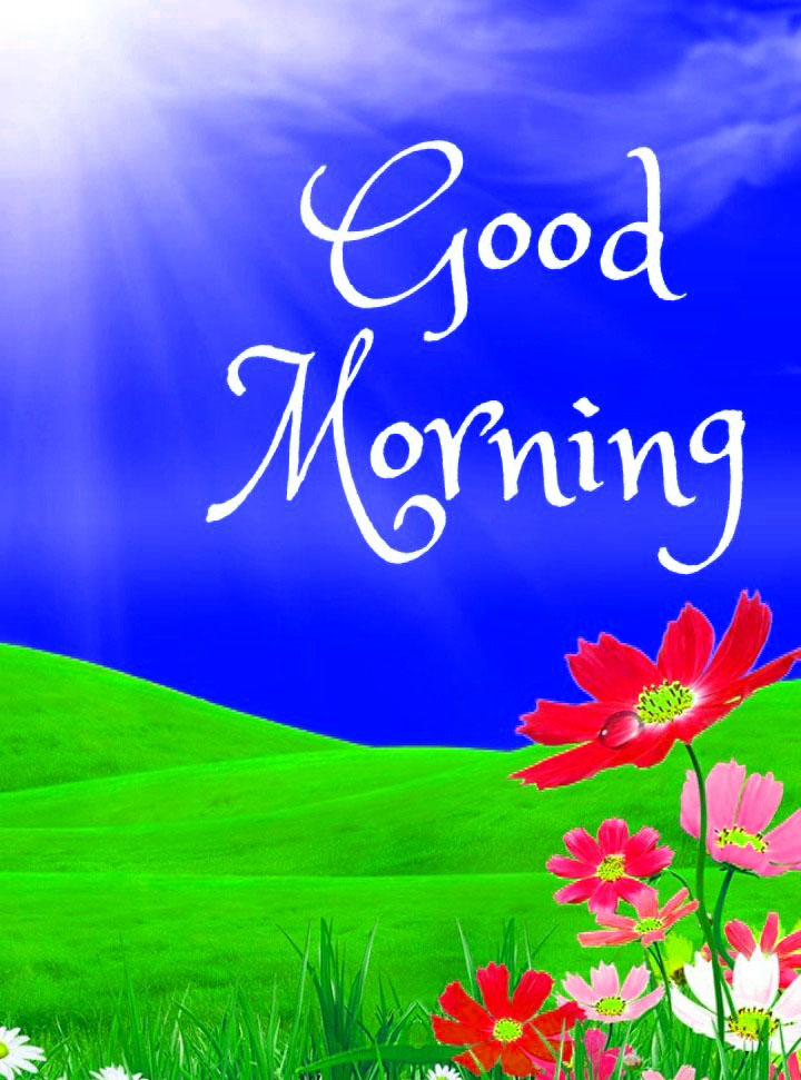 Good Morning Images, Wishes, Quotes, Greetings, Text, WhatsApp Status N  Messages