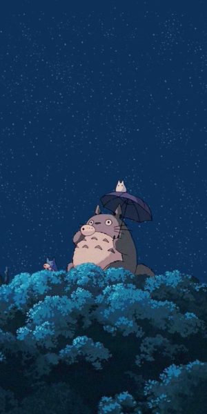 4K Totoro Wallpaper 