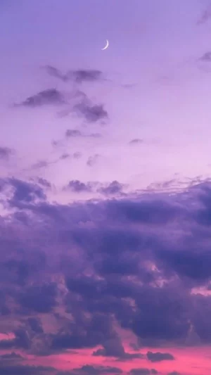 Lavender Wallpaper 