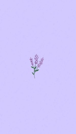 Lavender Wallpaper