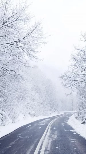 Snow Wallpaper 