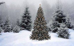 Desktop Christmas Tree Wallpaper