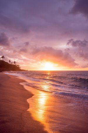 Beach Background