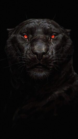Black Panther Wallpaper 