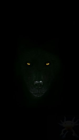 Black wolf Background