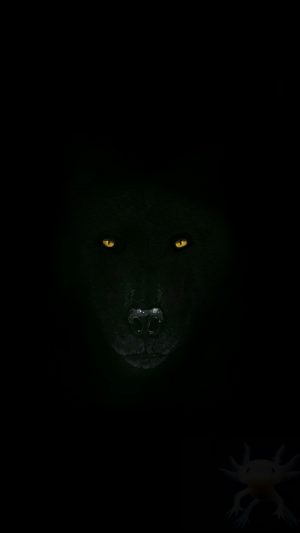 Black wolf Background 