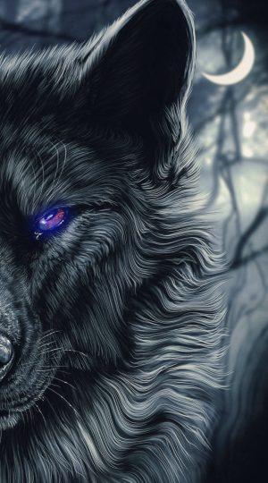 4K Black wolf Wallpaper